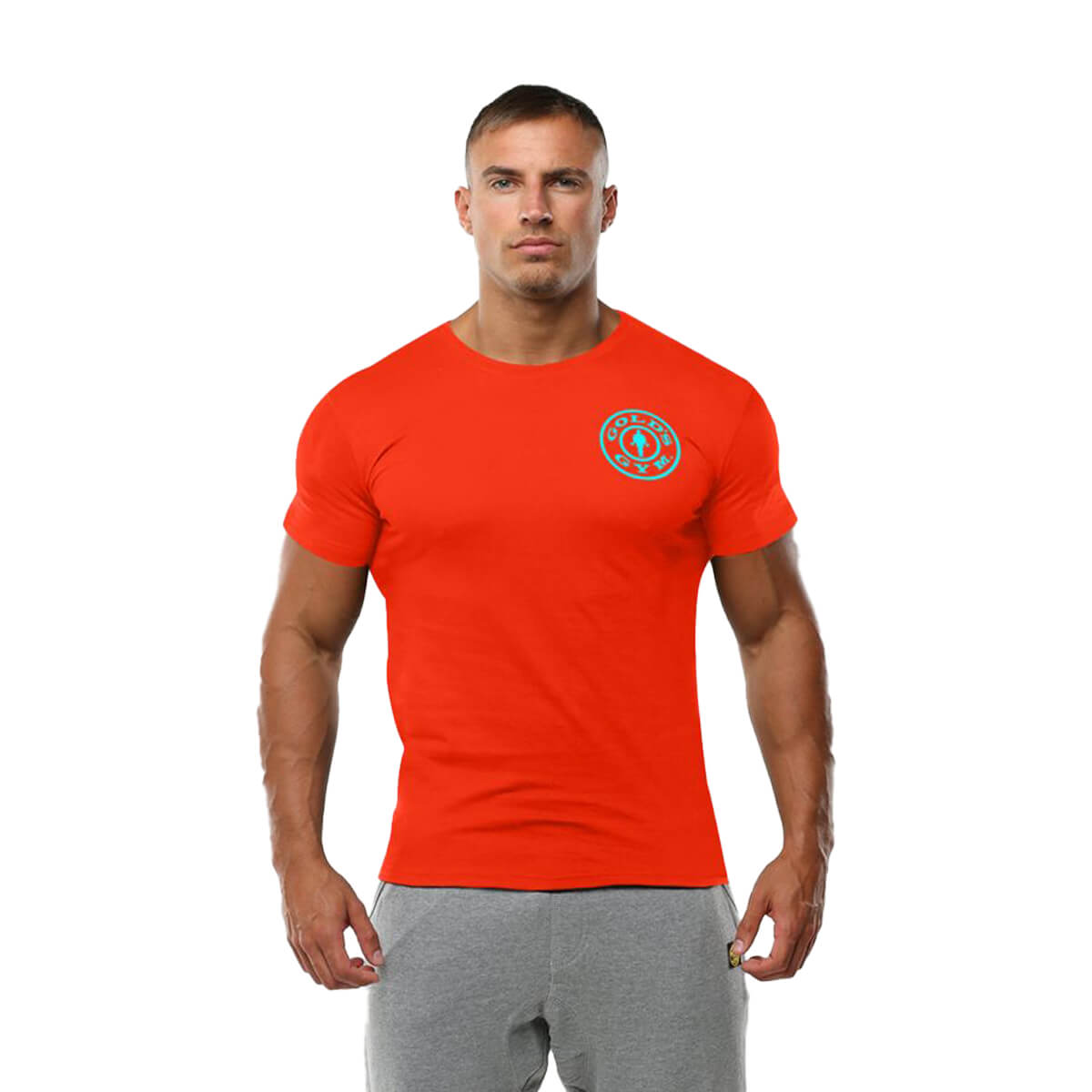Gold's Gym Tshirt Logo Chest Go Shape Nutrition